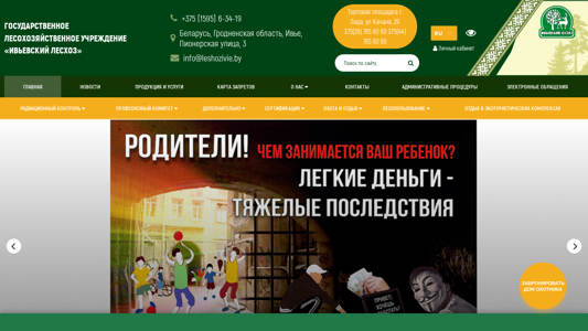Скриншот сайта