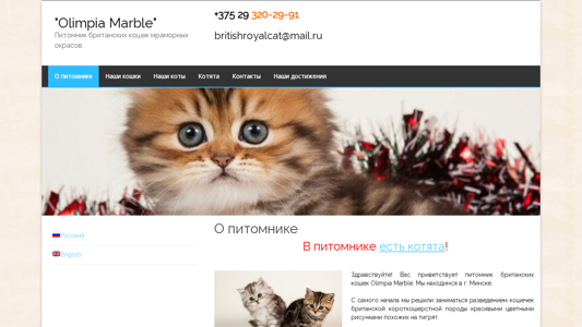 Скриншот сайта