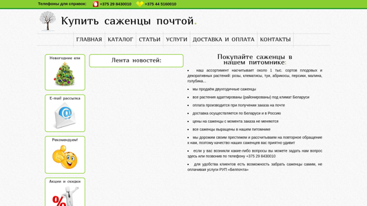 Скриншот сайта