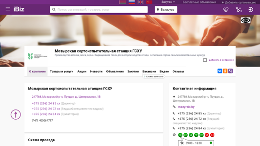 Скриншот сайта