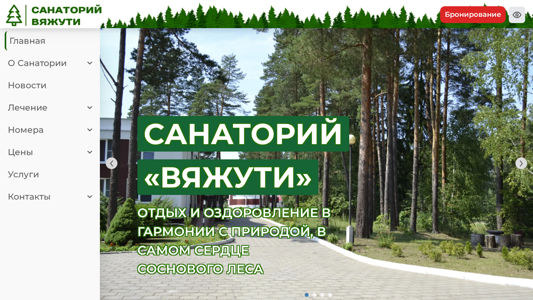 Скриншот сайта