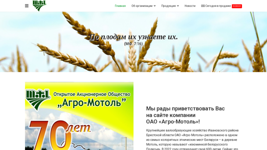 Скриншот сайта