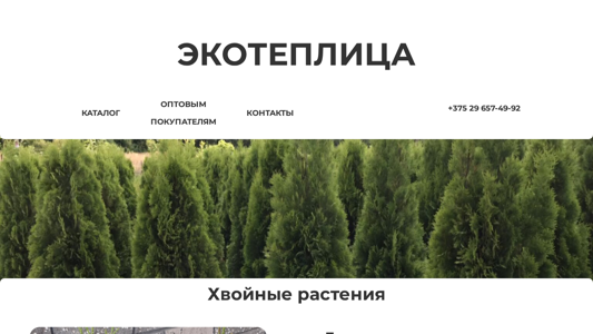 Скриншот сайта