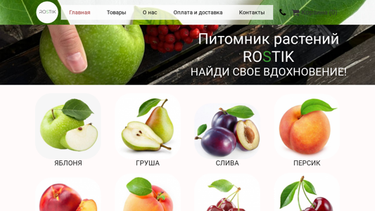 Скриншот сайта