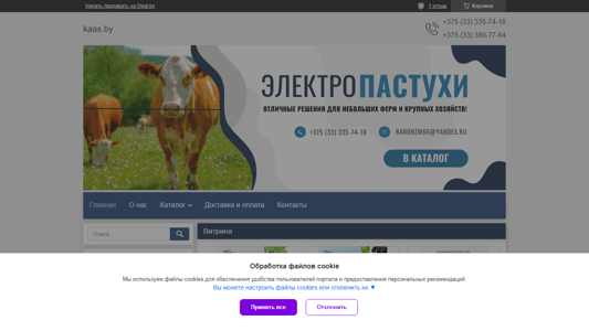 Скриншот сайта