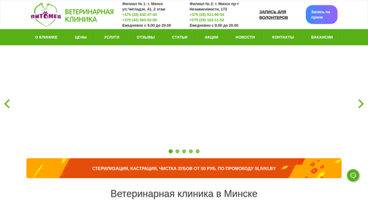 Скриншот сайта