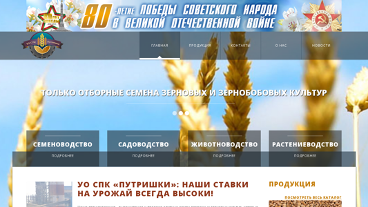 Скриншот сайта
