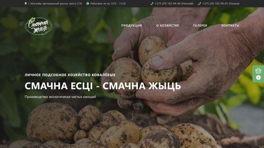 Скриншот сайта