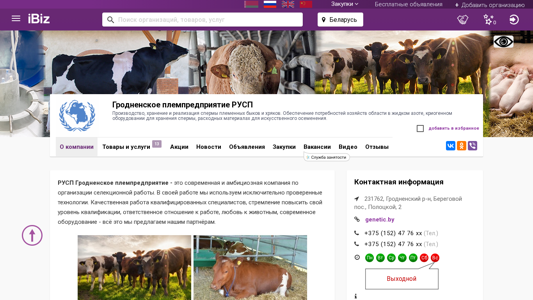 Скриншот сайта