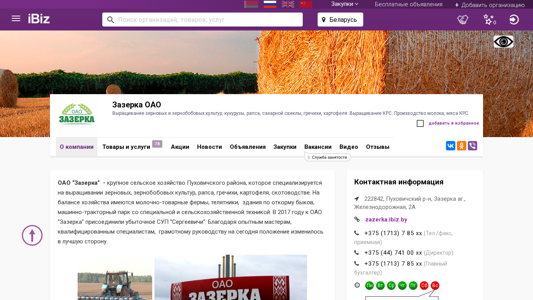 Скриншот сайта