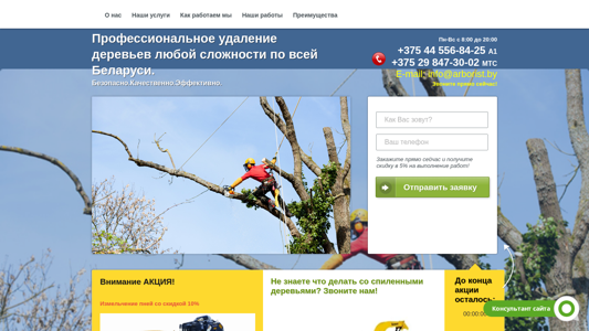 Скриншот сайта