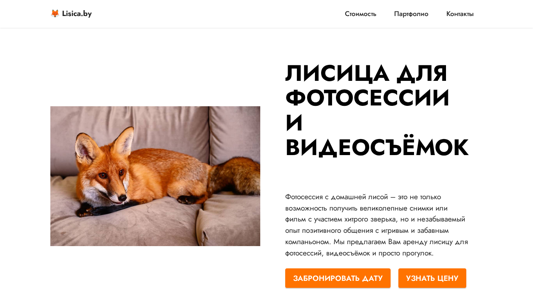 Скриншот сайта