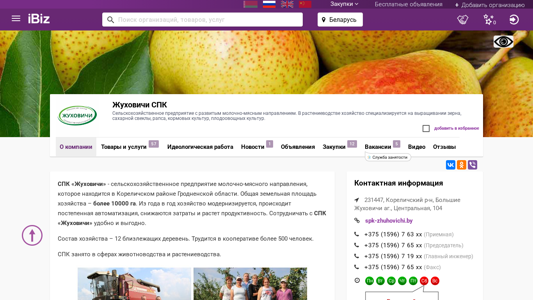 Скриншот сайта