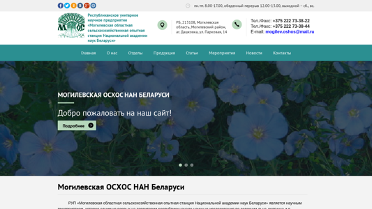 Скриншот сайта