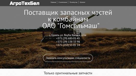 Скриншот сайта