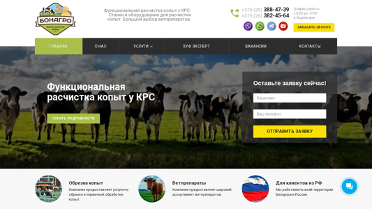 Скриншот сайта