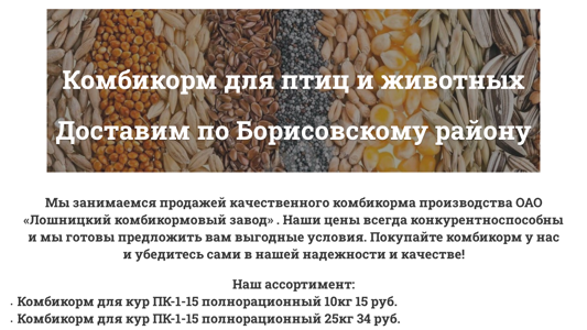 Скриншот сайта