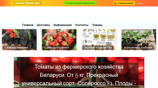 Скриншот сайта