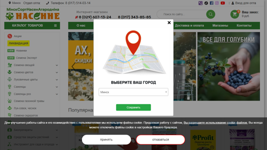 Скриншот сайта