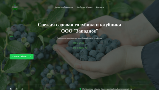 Скриншот сайта