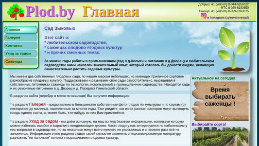 Скриншот сайта