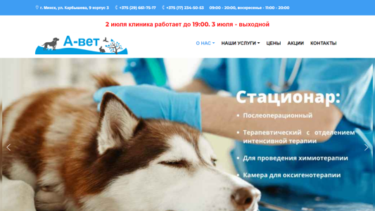 Скриншот сайта