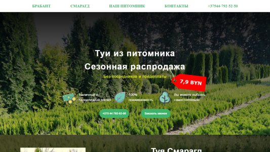 Скриншот сайта