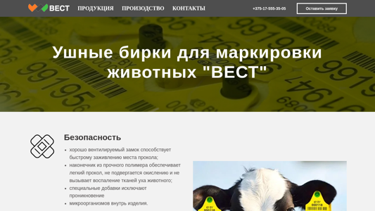 Скриншот сайта