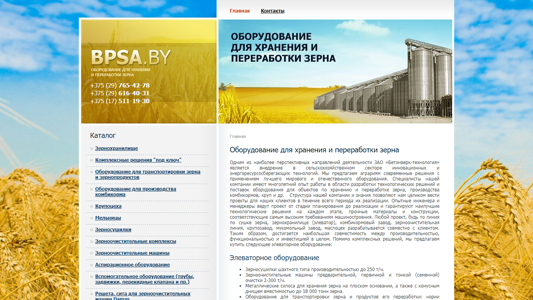 Скриншот сайта