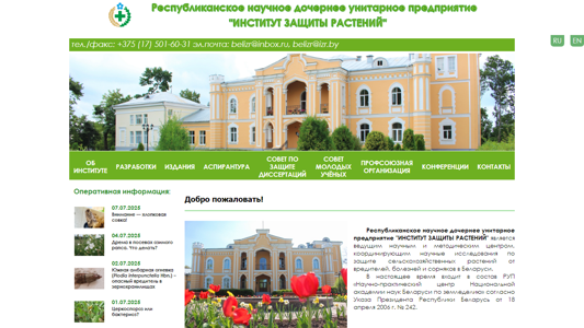 Скриншот сайта
