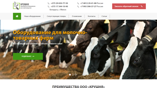 Скриншот сайта