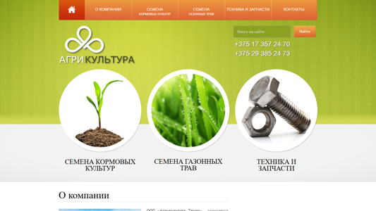 Скриншот сайта