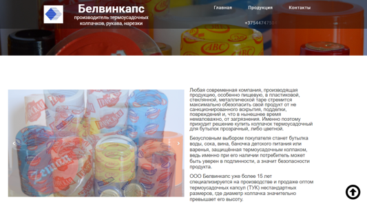 Скриншот сайта