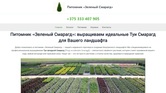 Скриншот сайта