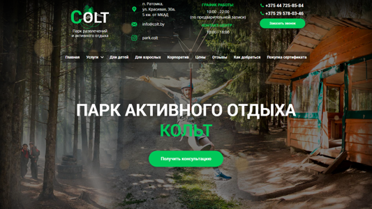 Скриншот сайта
